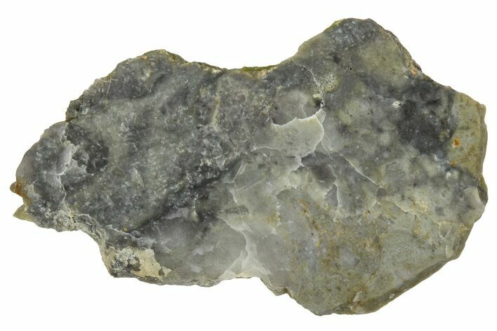 NWA Lunar Meteorite ( g) Slice #360580